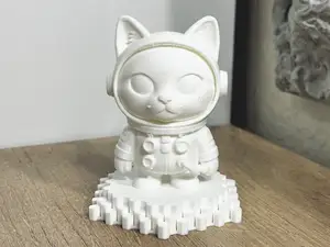 Catstronaut - Cat Astronaut