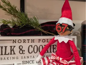6-7 Elf on the Shelf Shades