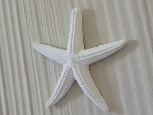Starfish Hanging Ornament (type B)