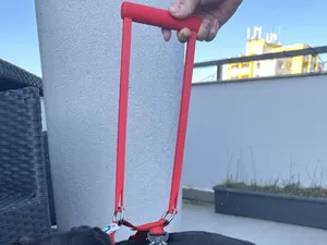 Senior Dog Mobility Support Handle Leash