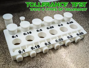 Multi-Type Tolerance Test