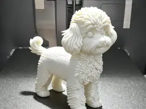 小狗 泰迪