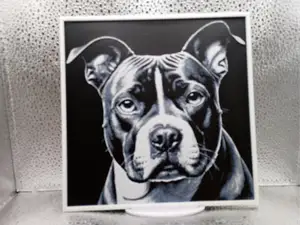 Amstaff hueforge