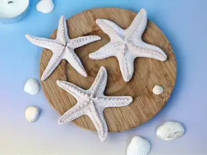 Starfish Decor Set (3 designs)