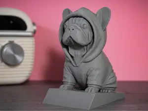 Französische Bulldogge mit Hoodie – Bully