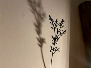 Capsella - Line Art Decor
