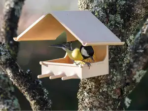 Bird feeder - Fat ball holder