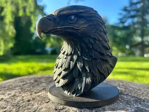 Eagle head