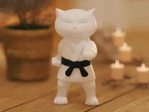 Karate Cat – The Ultimate Feline Fighter! 