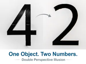 Number 42 Optical Illusion (10-99 available)