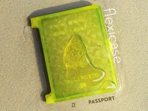 Flexicase Passport