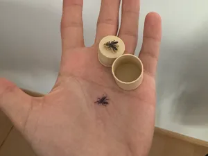 Mosquito Slap Prank Stamp