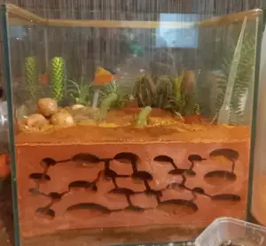 Ant Farm - Formicarium Insert
