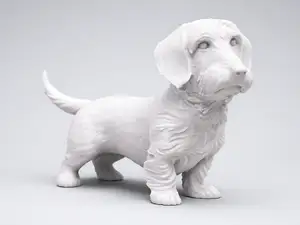 Wire-haired Dachshund. Animal - Dog