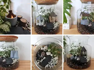 Terrarium decorations