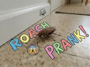 Realistic Roach Prank