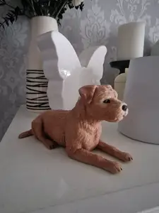 Terrier , Hund , Dog