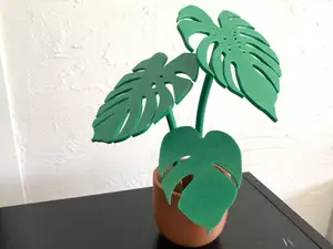 Monstera Leaf Coaster Set.