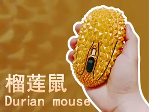 榴莲鼠-Durian mouse