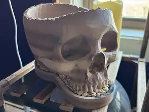 Skull Planter in Two Sizes with Drip Tray