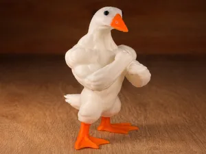 Gym Duck