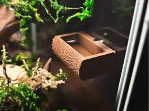 Springspinnen Jumping Spider Napf Terrarium
