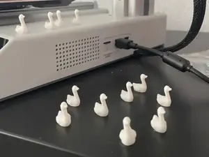 Ugly Swan