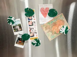 Albo Monstera Leaf Magnets – (Variegated Style)