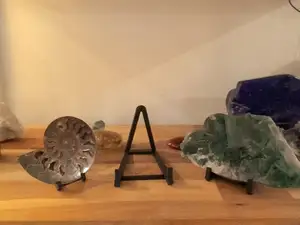 Stand for Fine Stones and Fossils