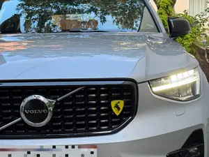 Universal Moose Grille Emblem for Volvo