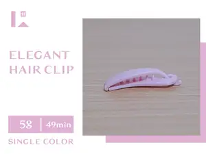 Elegant Hair Clip