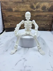 fully articulated skeleton