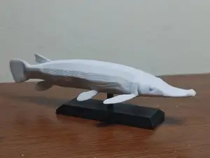 Alligator Gar Fish Mount