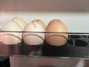 Compact 10-Egg Tray – Fridge Storage Organizer