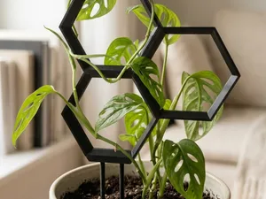 HexGrow – Modulares Hexagon-Rankgitter