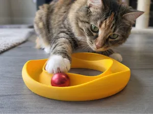 Cat Toy - Wave Donut