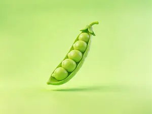 豌豆-仿真蔬菜微缩食玩-儿童涂色过家家玩具