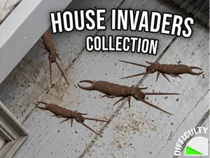 House Invaders - Earwig