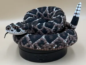 Diamondback Rattlesnake (Crotalus atrox)