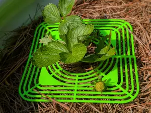Strawberry Growing Grid Support System for Gardens