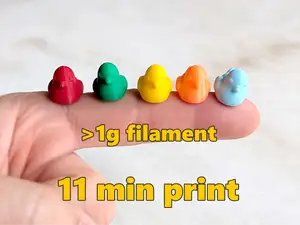 Small Tiny Mini Micro Chick