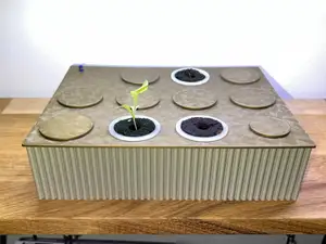 Hydroponic Seed Starting System (Kratky Method)