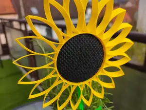 windmill flower