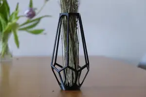Natura Silhouette Vase - Wireframe