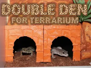 2-IN-1 REPTILE HIDEOUT FOR TERRARIUMS