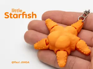 Little Starfish - Articulated & Keychain