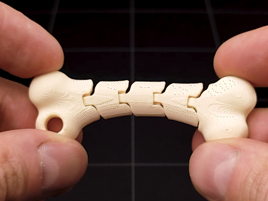 Flexible Bone keychain