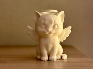 Angel cat