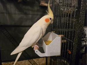 Bird feeder pot for cages