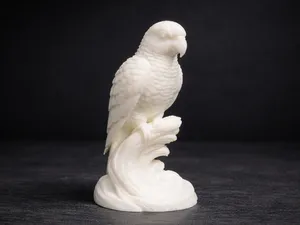 African Grey Parrot